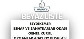 Daha İyisi İçin Yine Yeniden Beyaz Liste ile